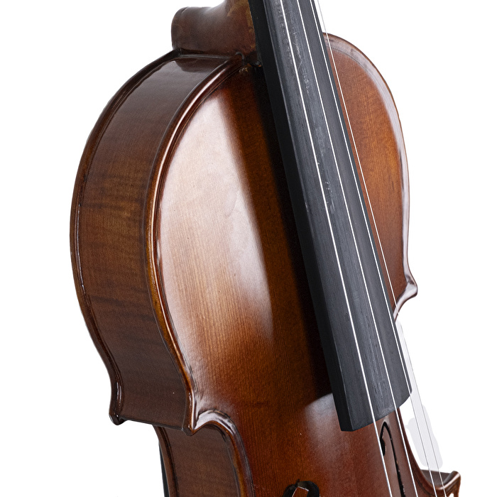 VANETTA VL-5 / 1/2 Masif Keman (Abanoz Burgu ve Aksam)